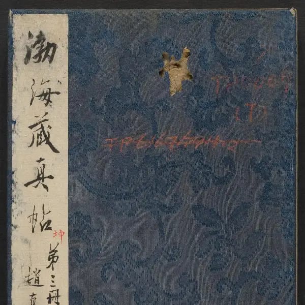 Volume 7